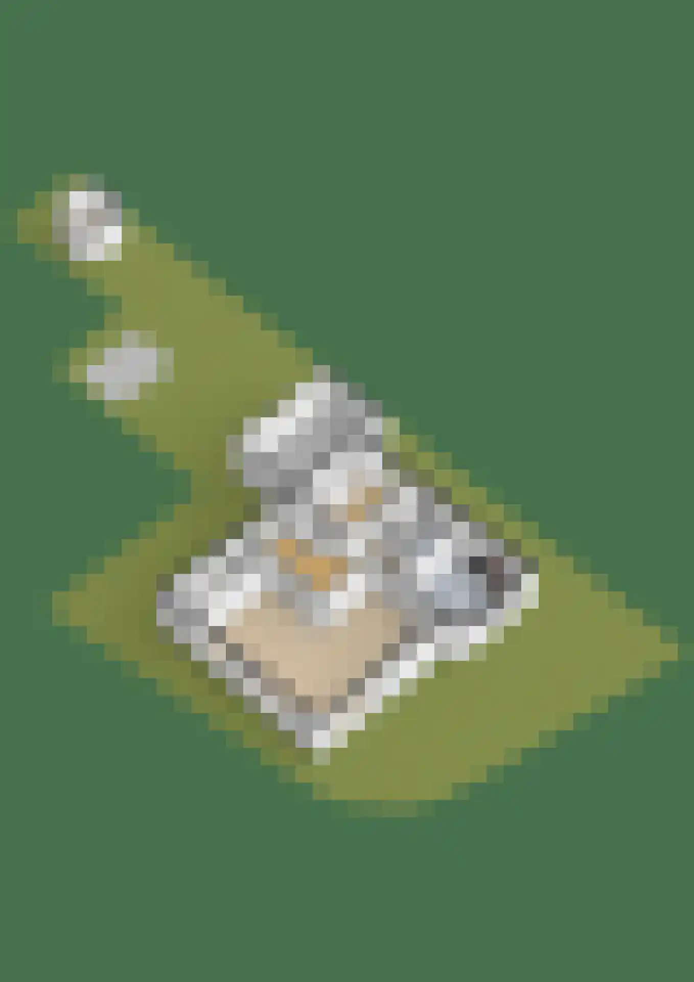 Ring 38 a Oudenhoorn thumbnail 68