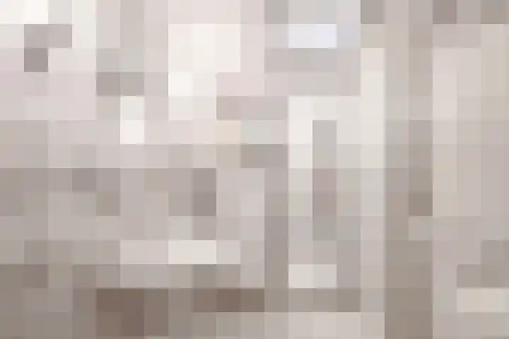 Ring 38 Middelharnis thumbnail 15