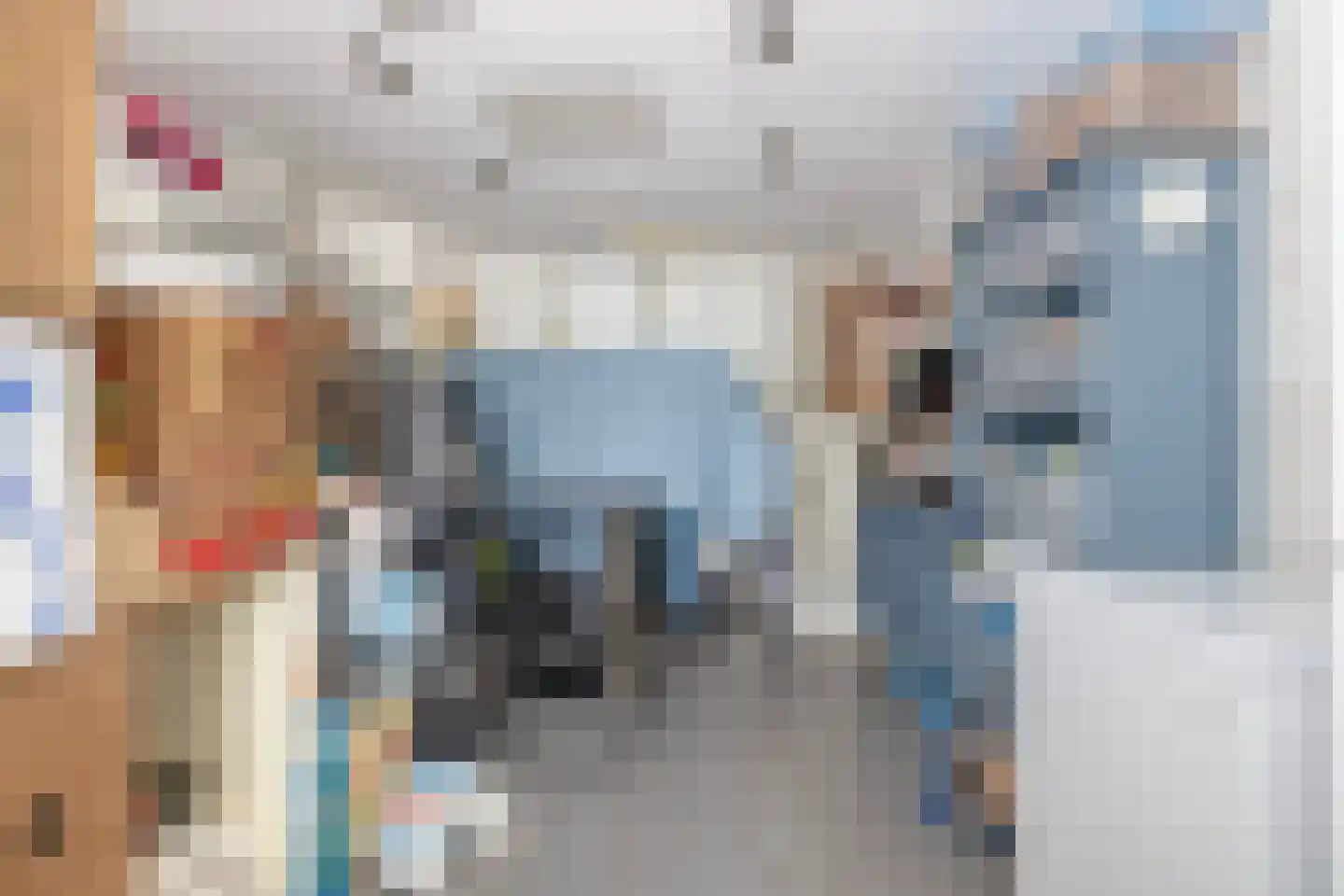 Ring 38 Middelharnis thumbnail 18
