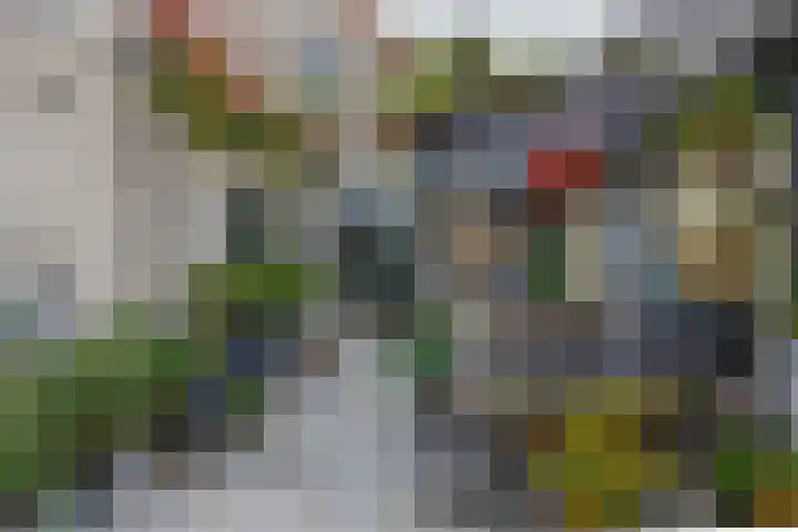Ring 38 Middelharnis thumbnail 27
