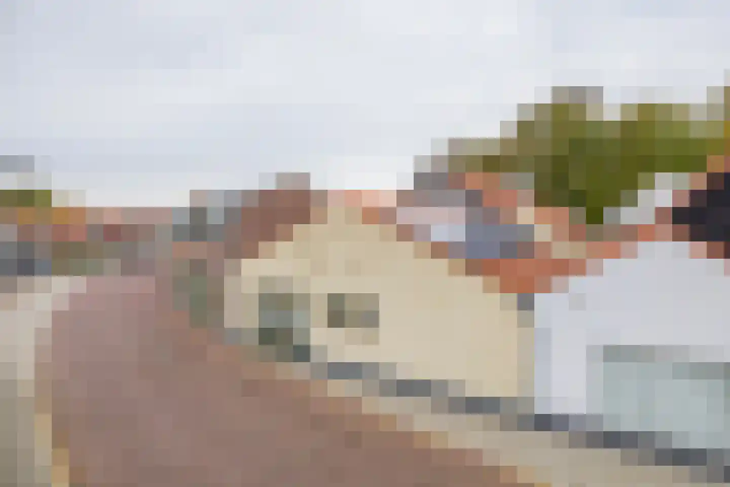 Ring 38 Middelharnis thumbnail 30