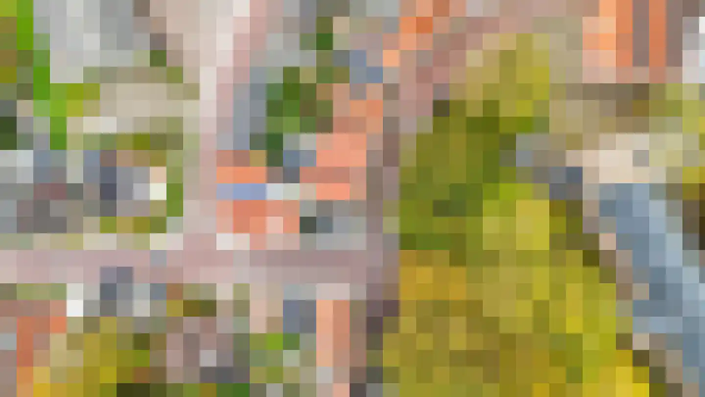 Ring 38 Middelharnis thumbnail 33