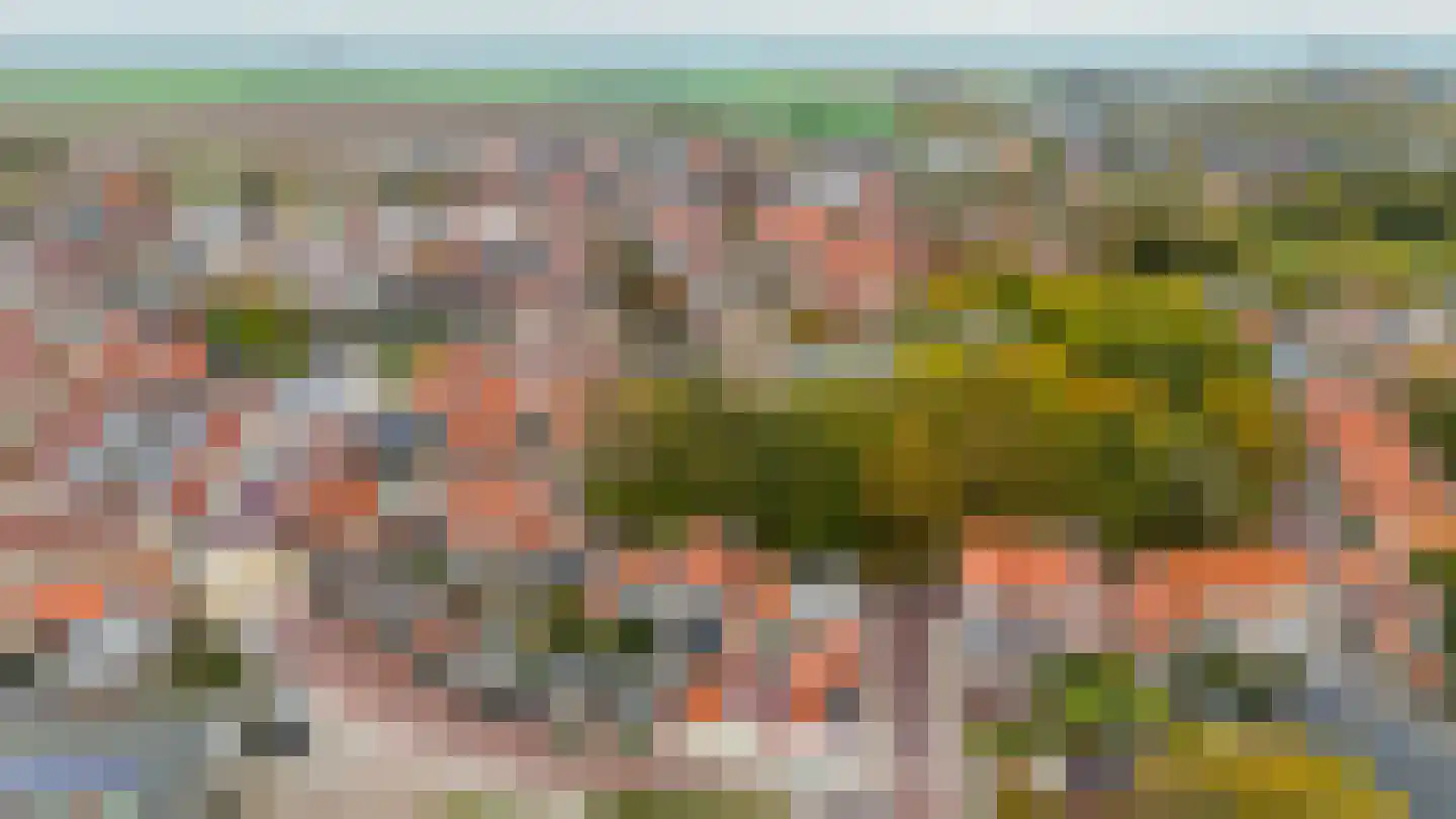 Ring 38 Middelharnis thumbnail 37