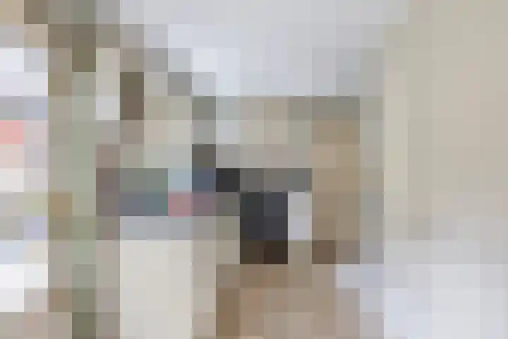 Ring 38 Middelharnis thumbnail 7