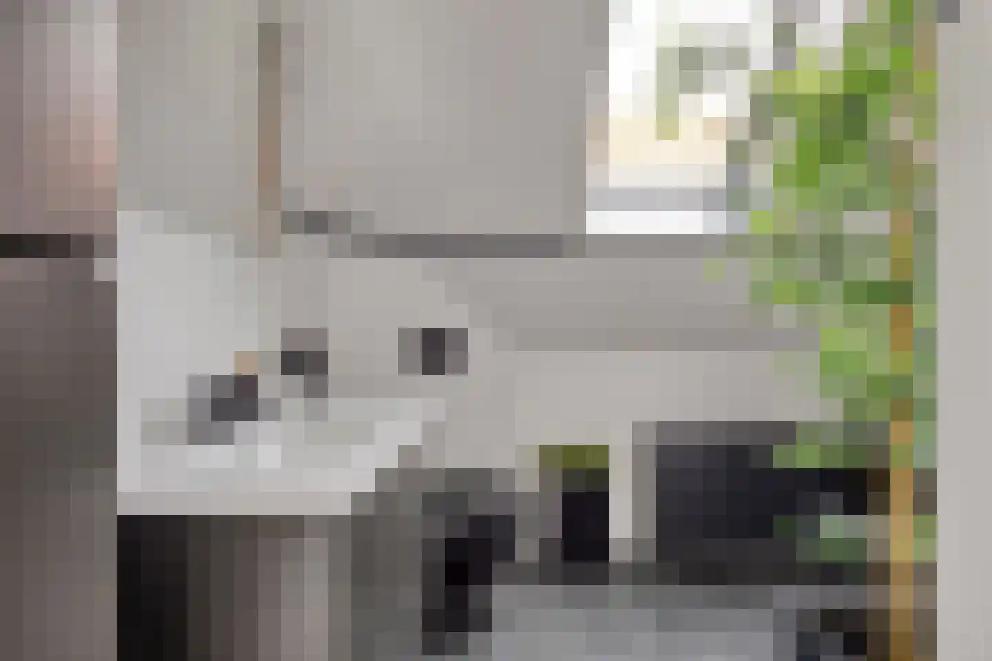 Ring 4 Ouwerkerk thumbnail 19