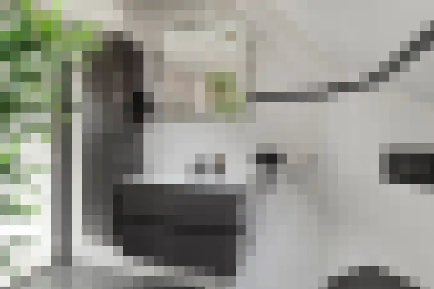 Ring 4 Ouwerkerk thumbnail 20