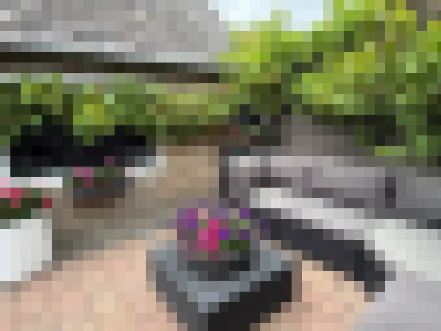 Ring 4 Ouwerkerk thumbnail 25