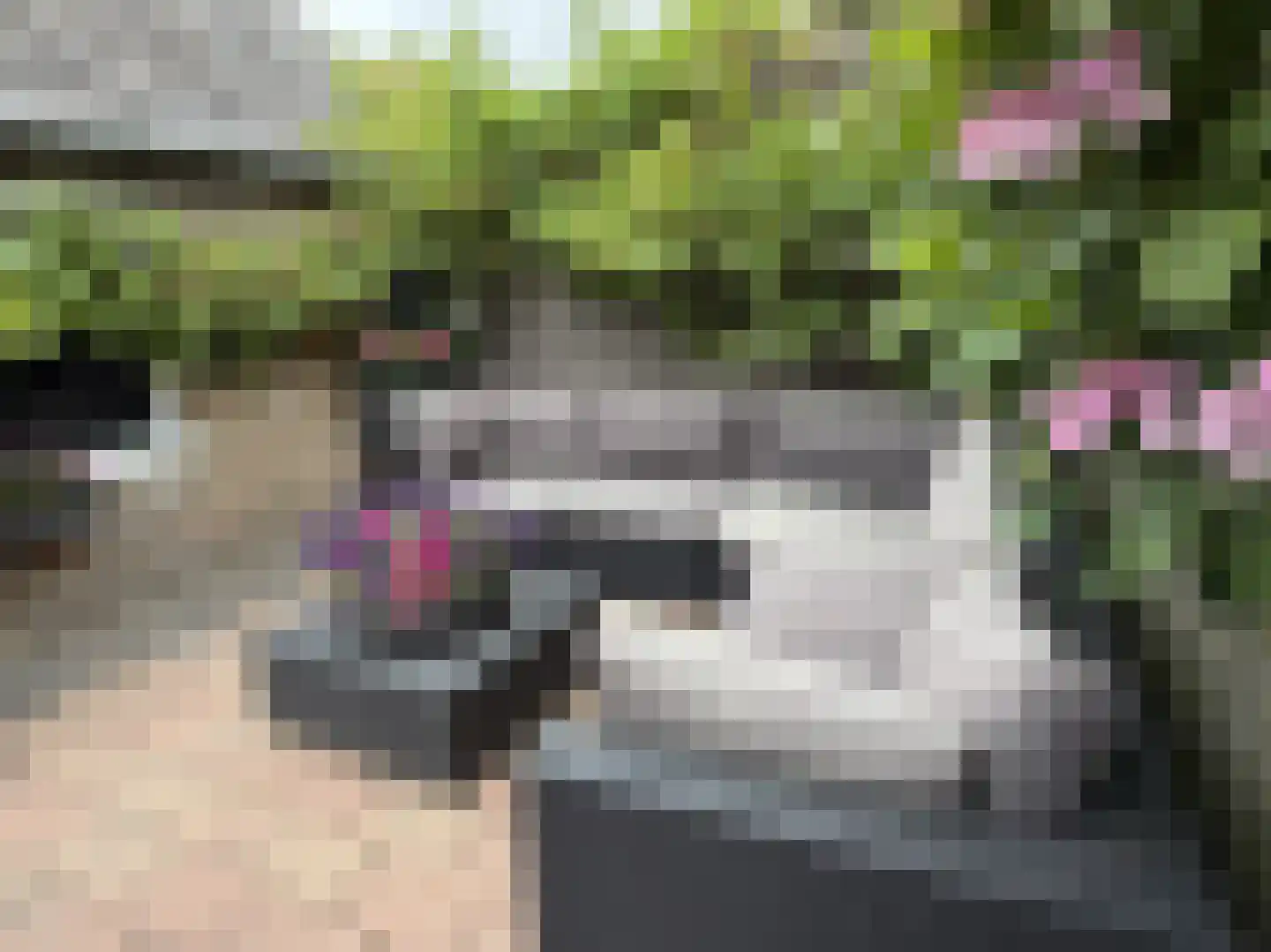 Ring 4 Ouwerkerk thumbnail 26