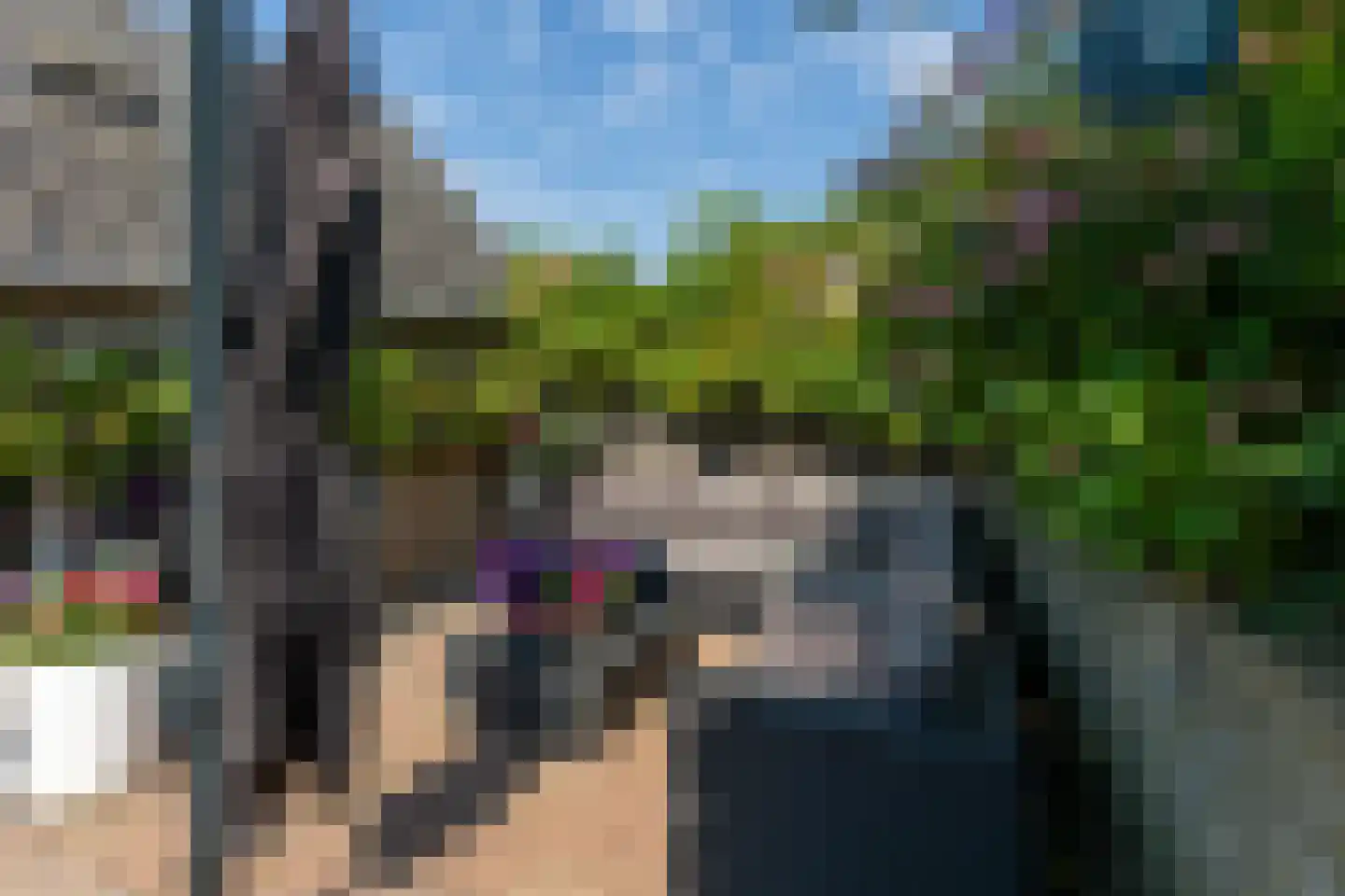 Ring 4 Ouwerkerk thumbnail 31