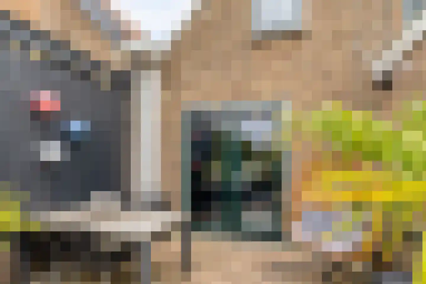 Ring 4 Ouwerkerk thumbnail 33