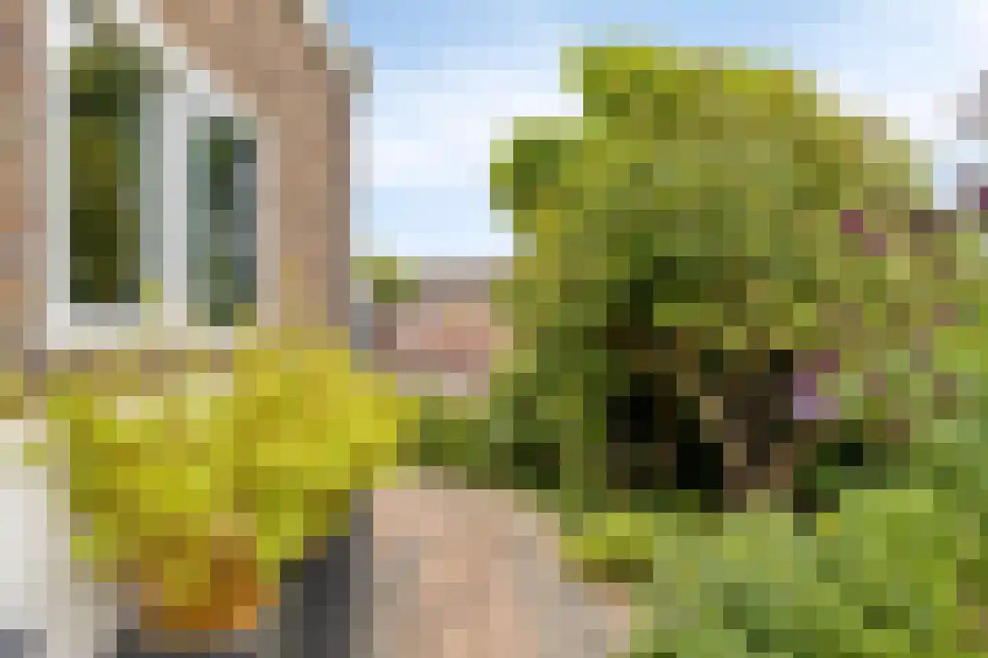 Ring 4 Ouwerkerk thumbnail 36