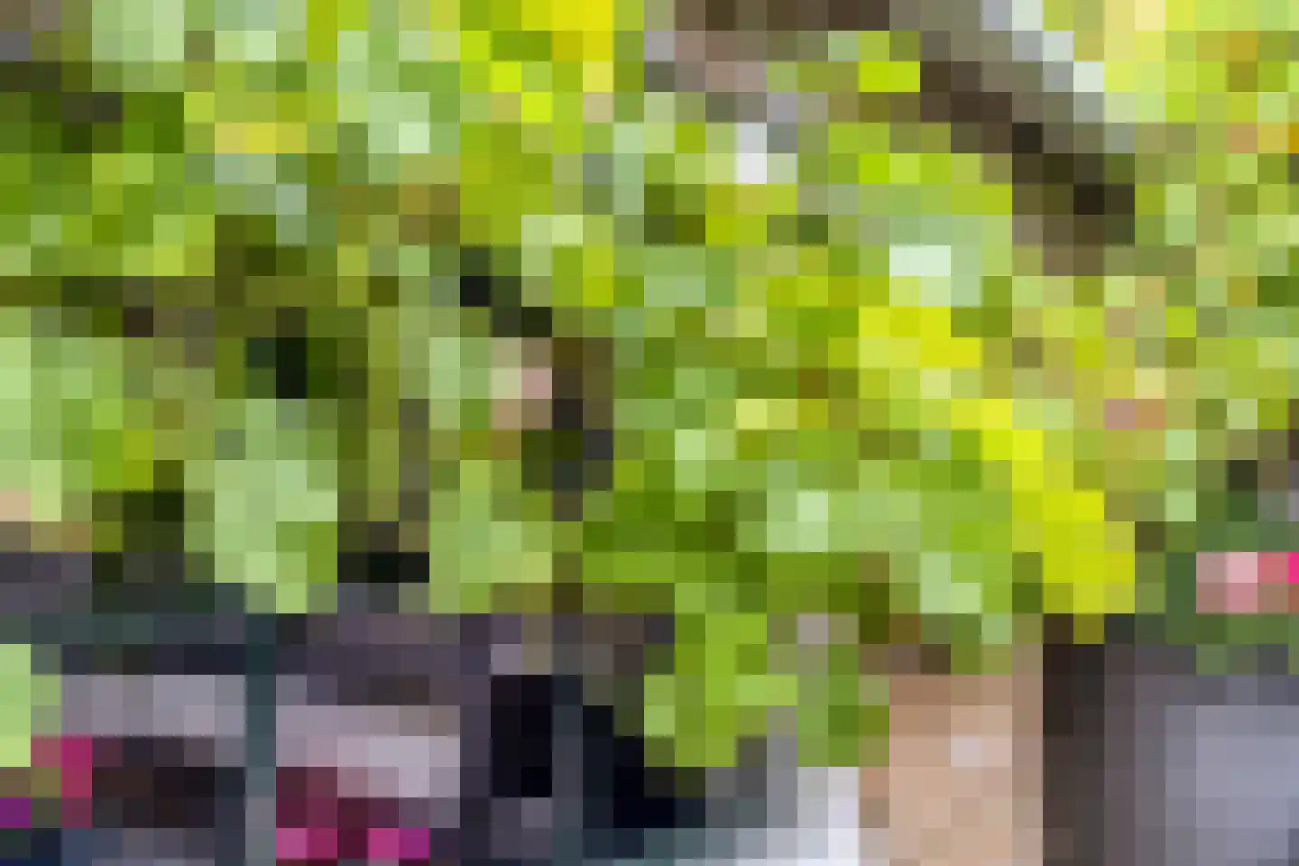 Ring 4 Ouwerkerk thumbnail 39