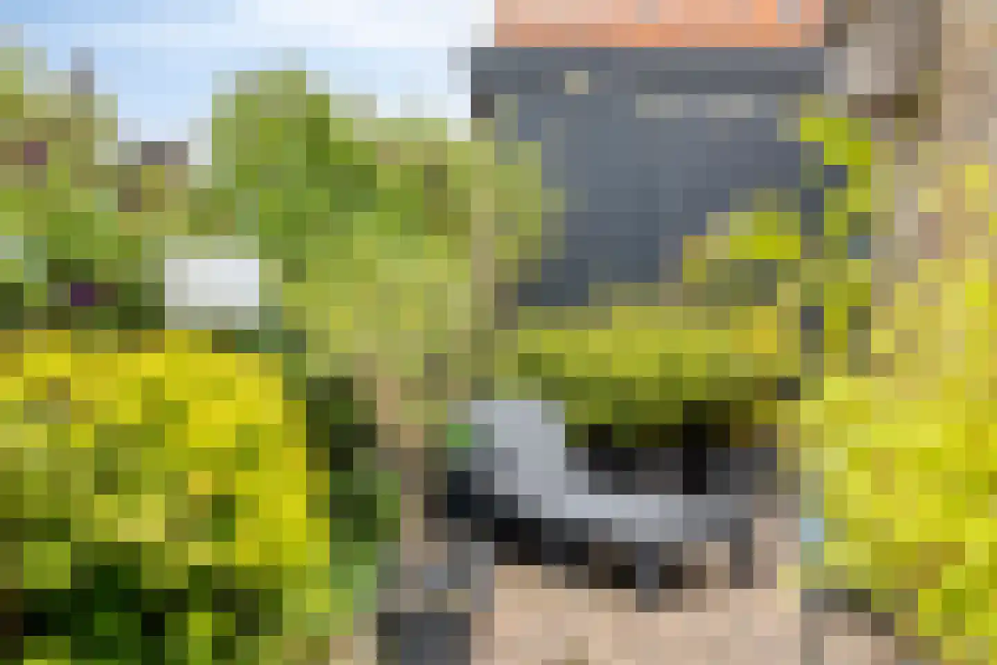 Ring 4 Ouwerkerk thumbnail 40