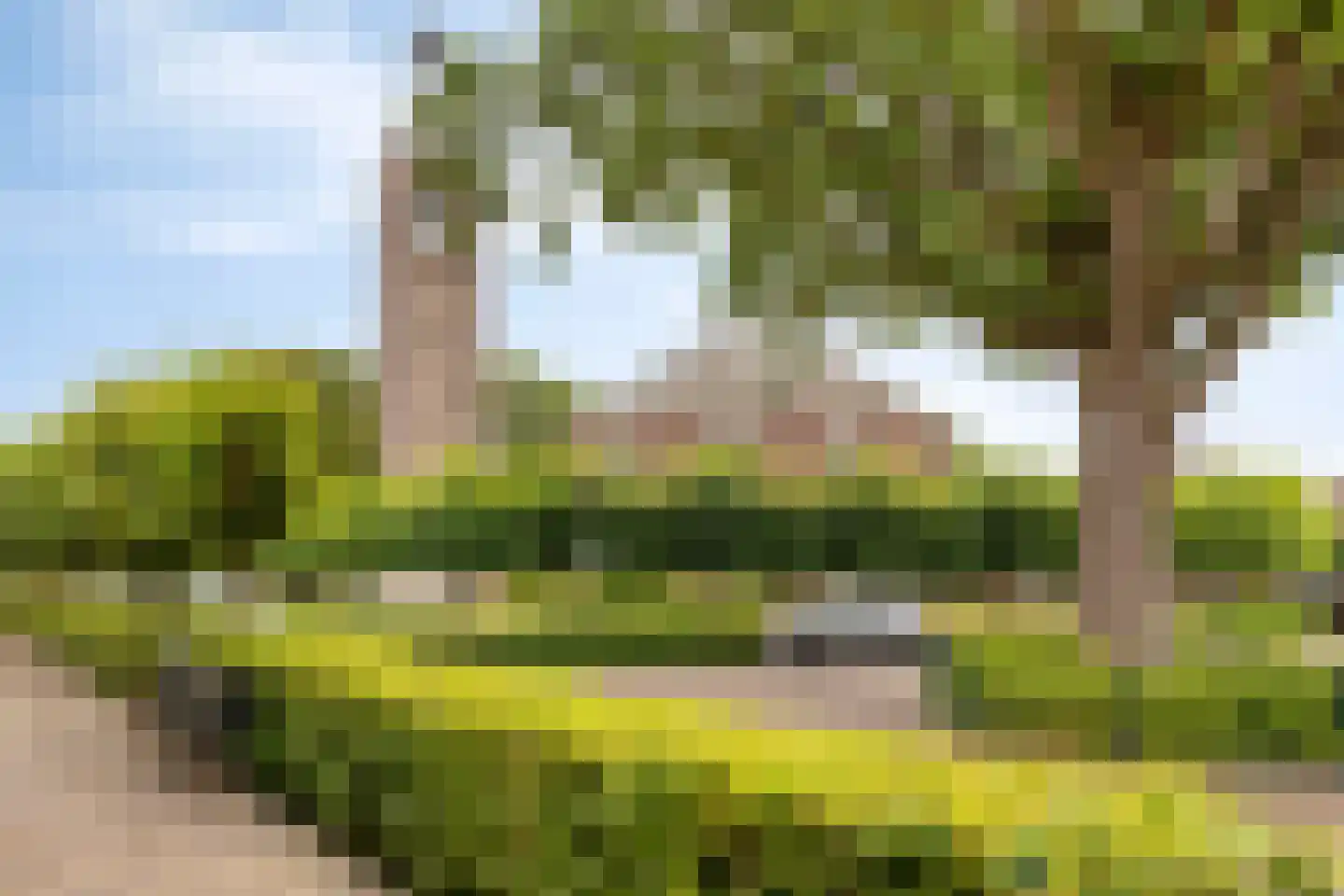Ring 4 Ouwerkerk thumbnail 41