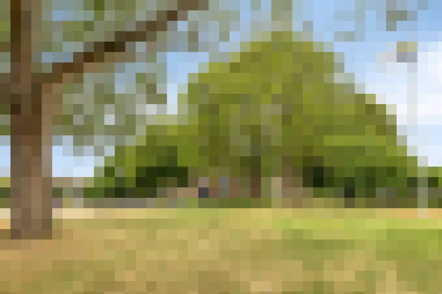 Ring 4 Ouwerkerk thumbnail 45