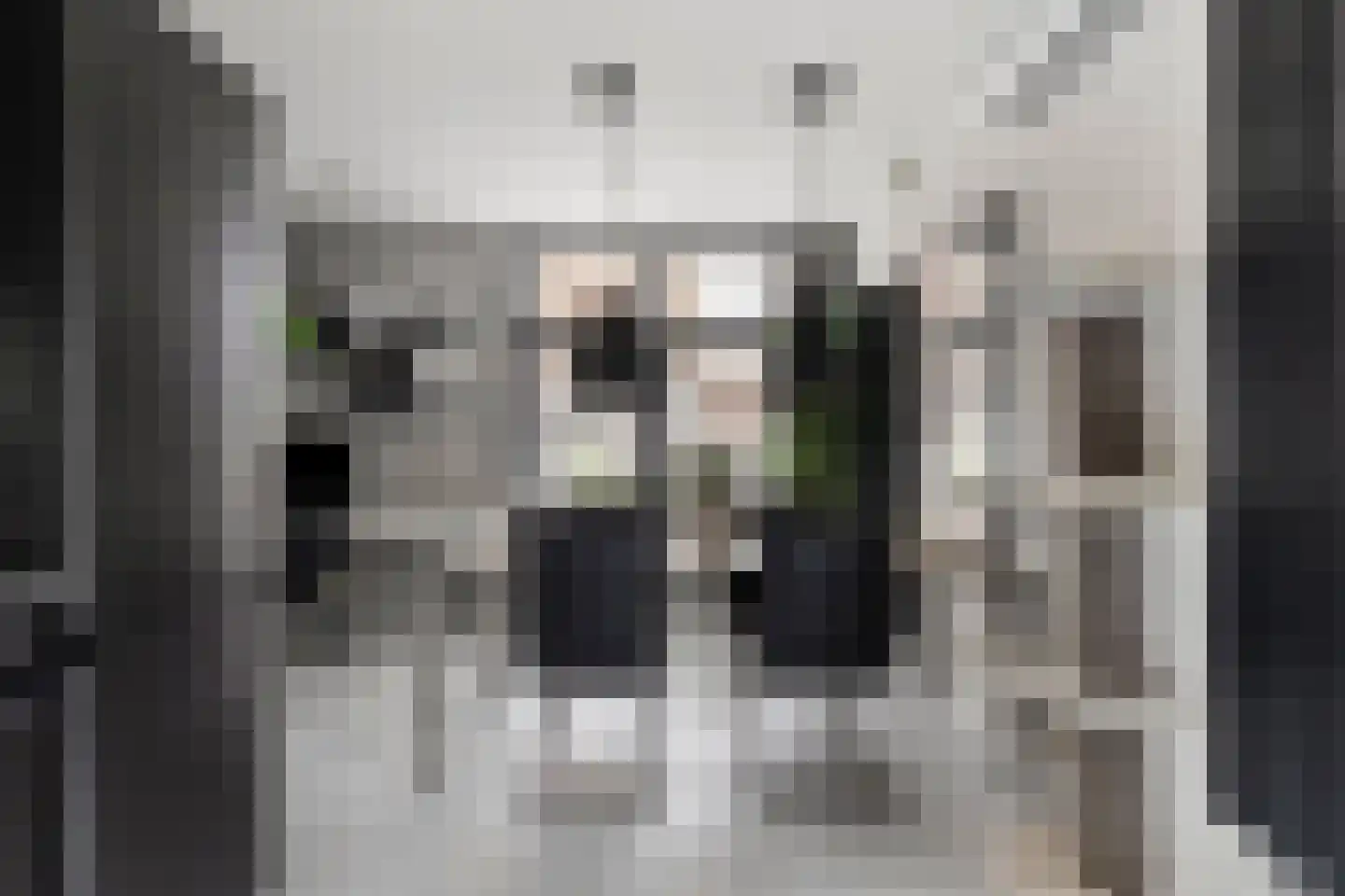 Ring 4 Ouwerkerk thumbnail 9