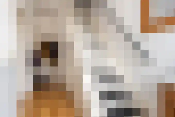 Ring 40 Oude Pekela thumbnail 11