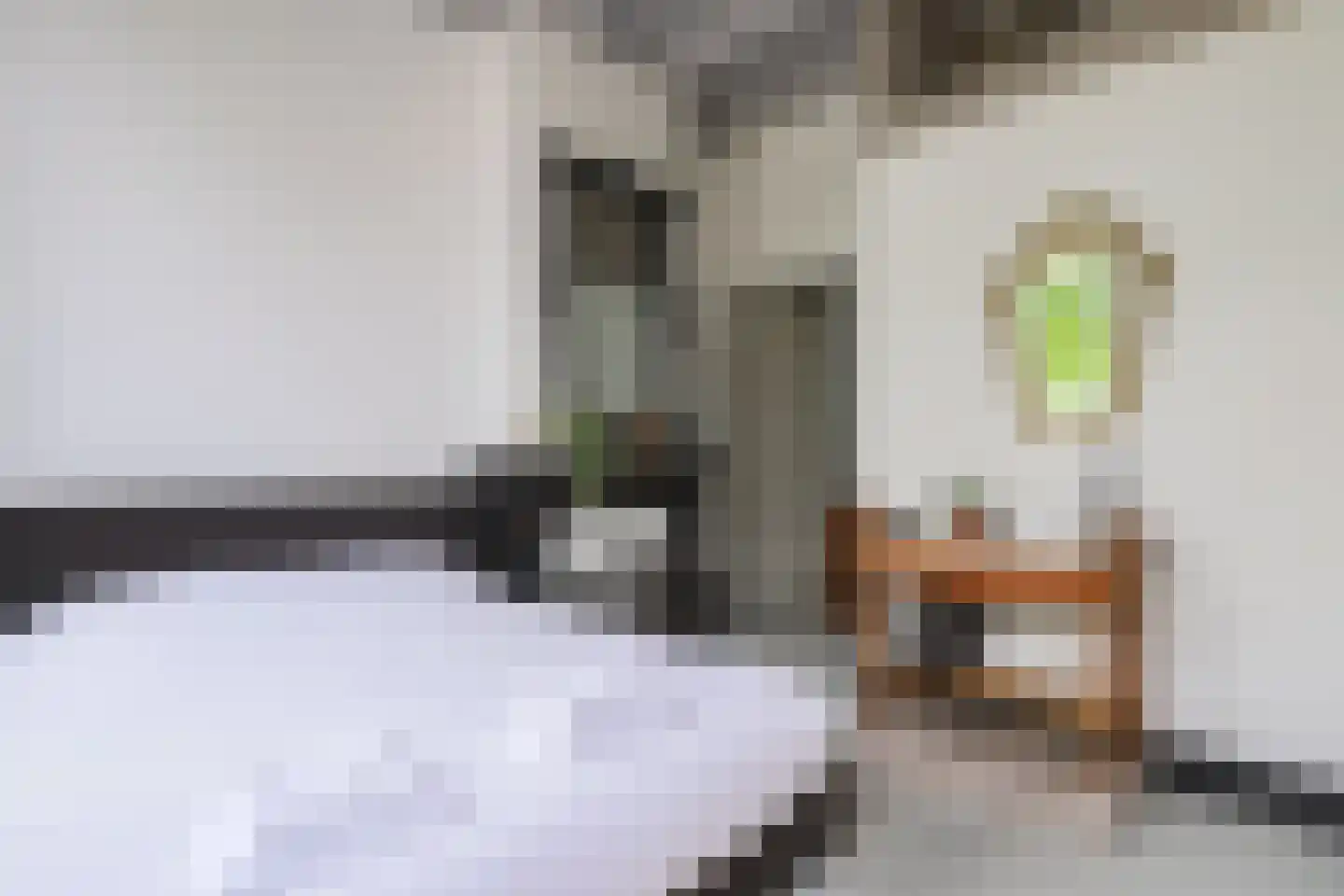 Ring 41 Ouwerkerk thumbnail 30