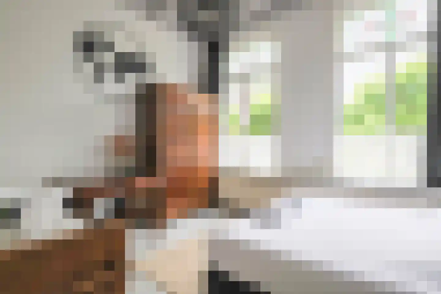 Ring 41 Ouwerkerk thumbnail 32