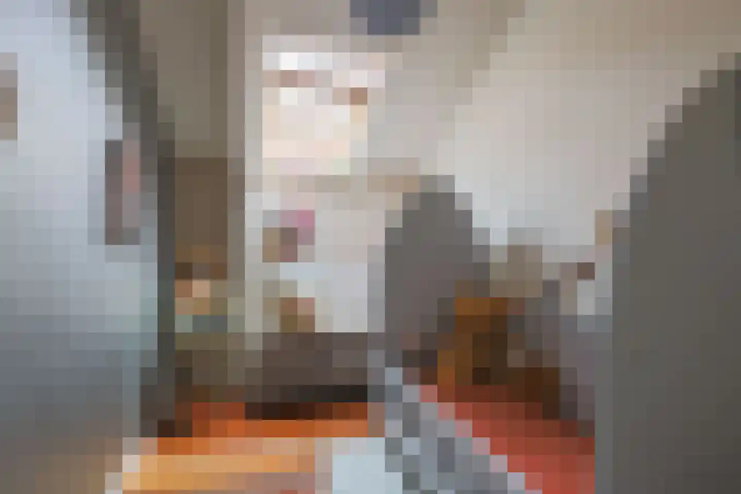 Ring 41 Ouwerkerk thumbnail 34