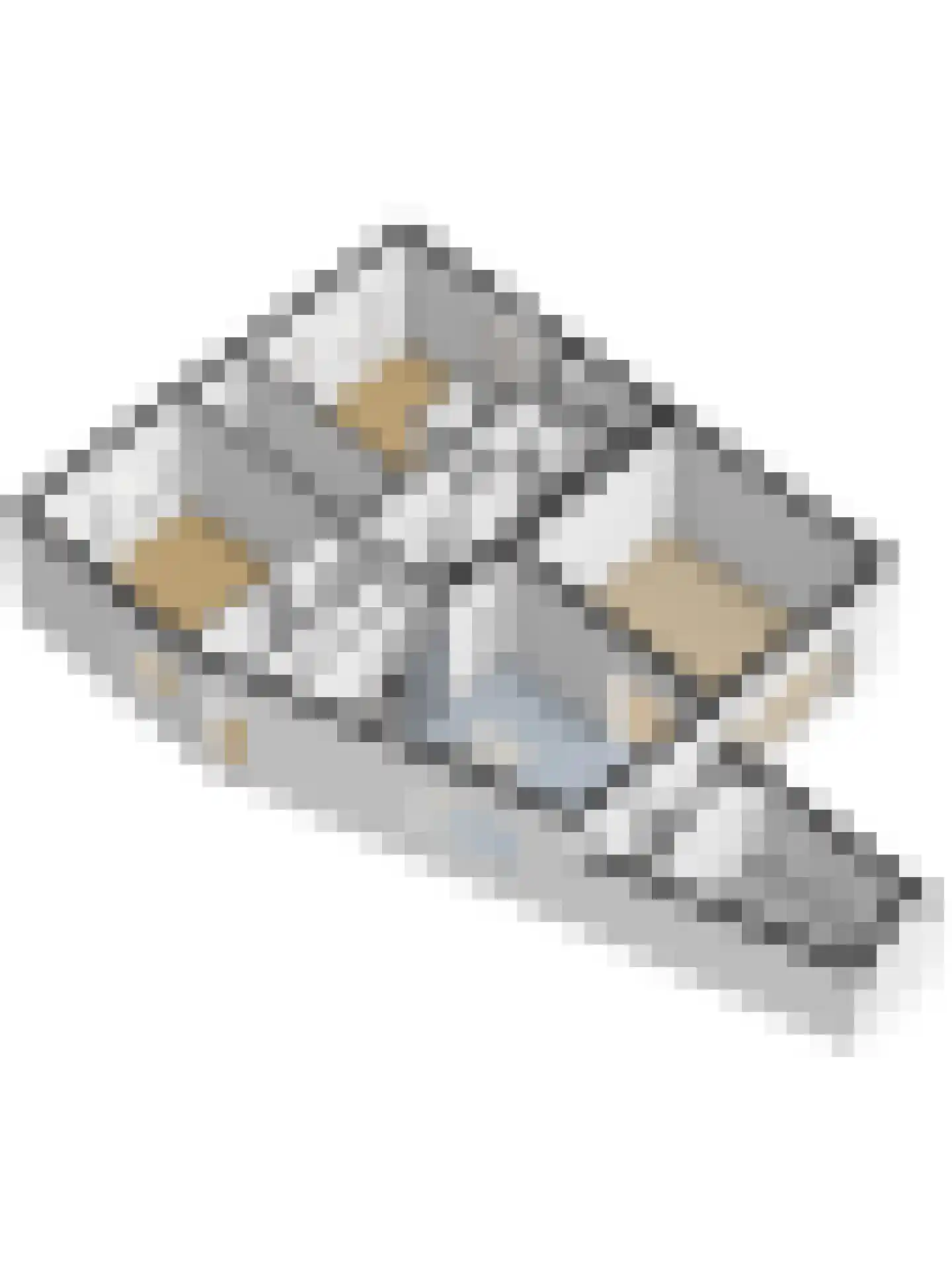 Ring 41 Ouwerkerk thumbnail 54