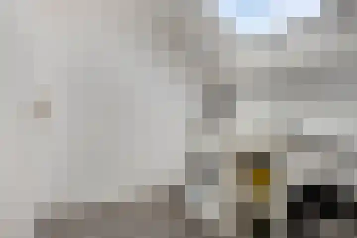 Ring 424 Hendrik-Ido-Ambacht thumbnail 17