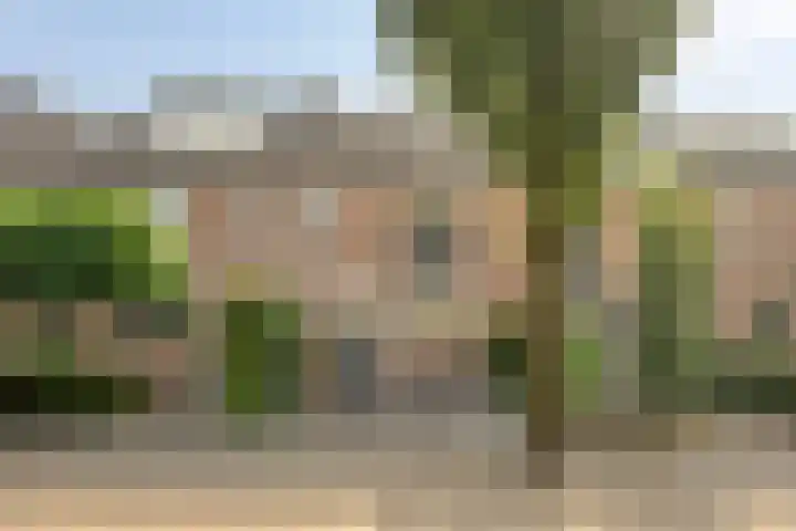 Ring 424 Hendrik-Ido-Ambacht thumbnail 19