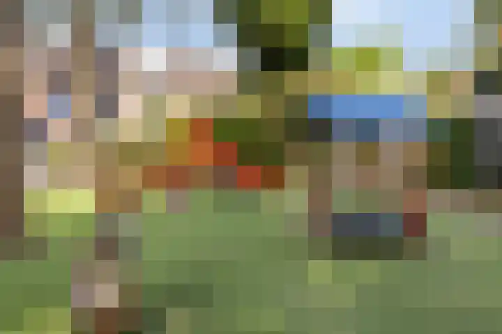 Ring 424 Hendrik-Ido-Ambacht thumbnail 22