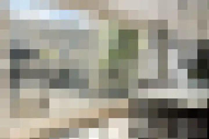 Ring 424 Hendrik-Ido-Ambacht thumbnail 5
