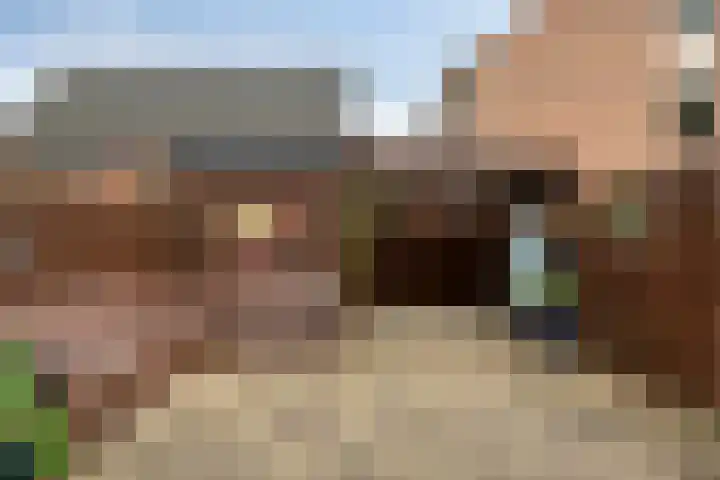 Ring 425 Hendrik-Ido-Ambacht thumbnail 36