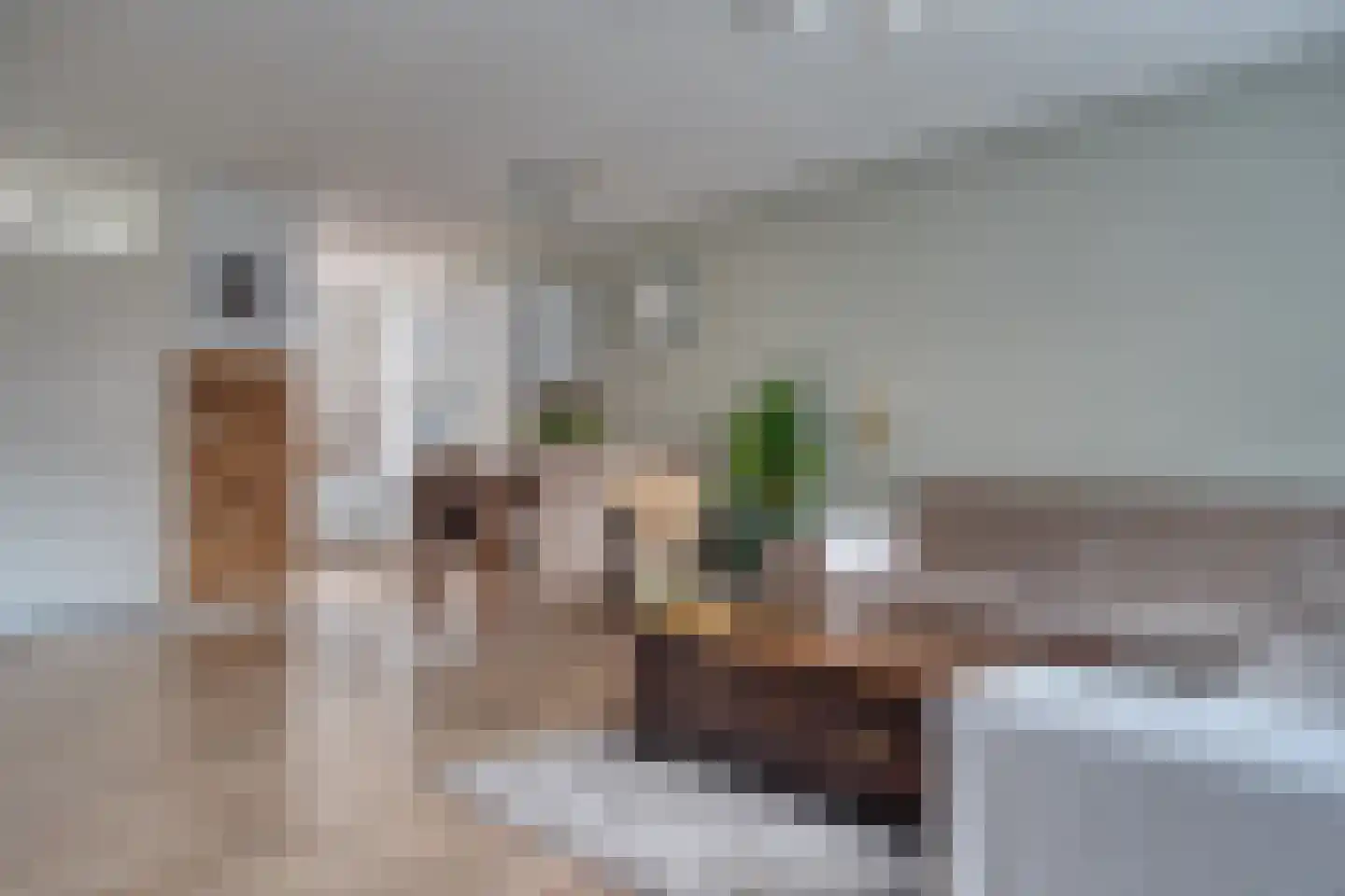 Ring 427 Hendrik-Ido-Ambacht thumbnail 12