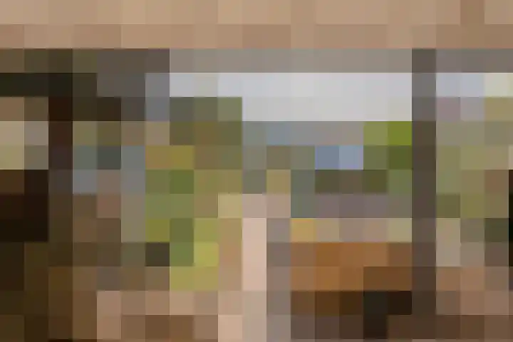 Ring 57 Nieuwdorp thumbnail 46