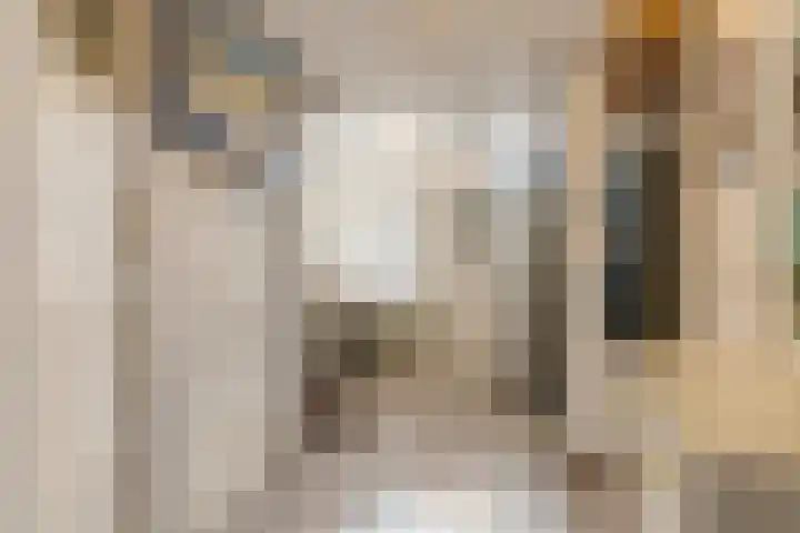Ring 57 Nieuwdorp thumbnail 7