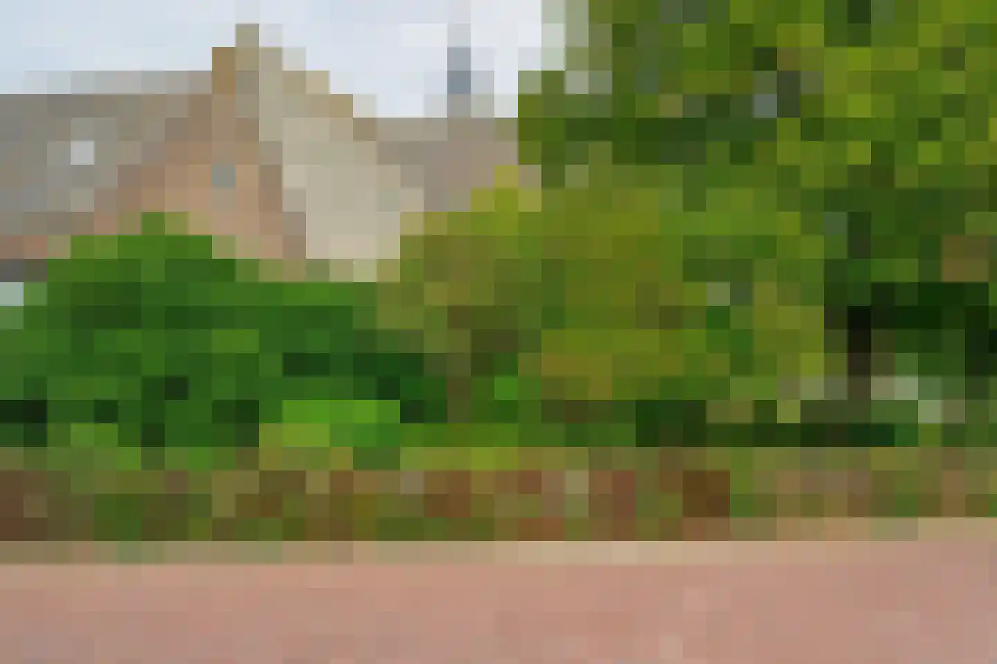 Ring 62 Sint-Annaland thumbnail 27
