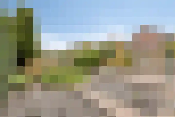 Ring 64 Sint-Annaland thumbnail 42