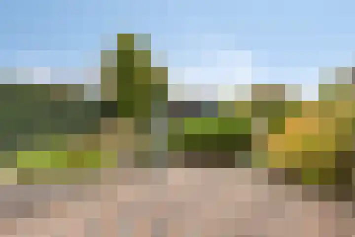 Ring 64 Sint-Annaland thumbnail 43