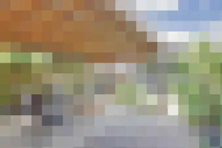 Ring 73 Nieuwdorp thumbnail 26