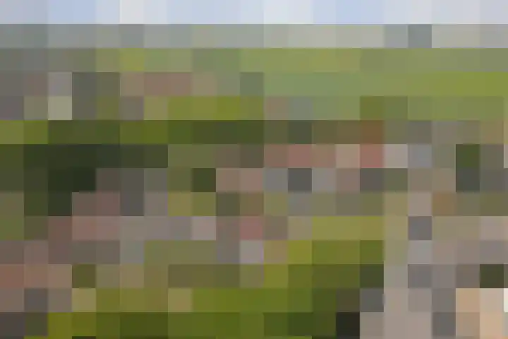 Ring 73 Nieuwdorp thumbnail 30