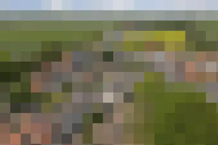 Ring 73 Nieuwdorp thumbnail 31