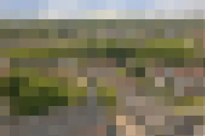 Ring 73 Nieuwdorp thumbnail 32