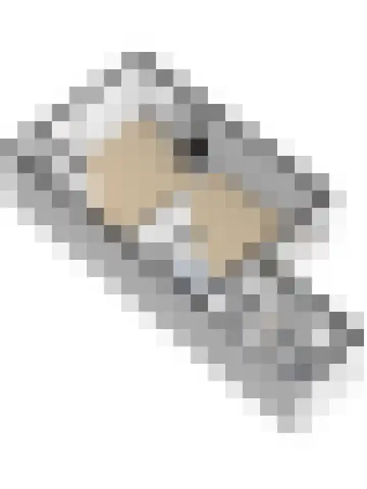 Ring 73 Nieuwdorp thumbnail 38