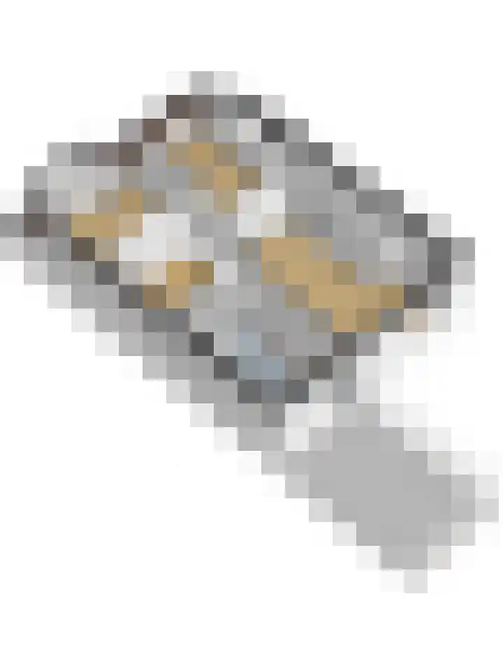 Ring 73 Nieuwdorp thumbnail 39