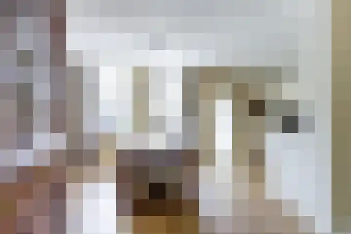 Ring 73 Nieuwdorp thumbnail 8