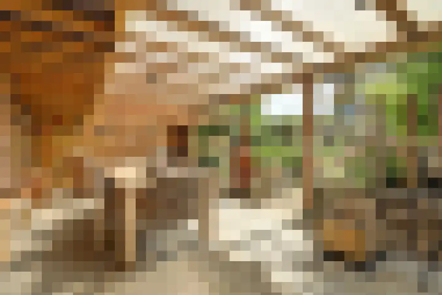 Ring 75 Nieuwdorp thumbnail 35