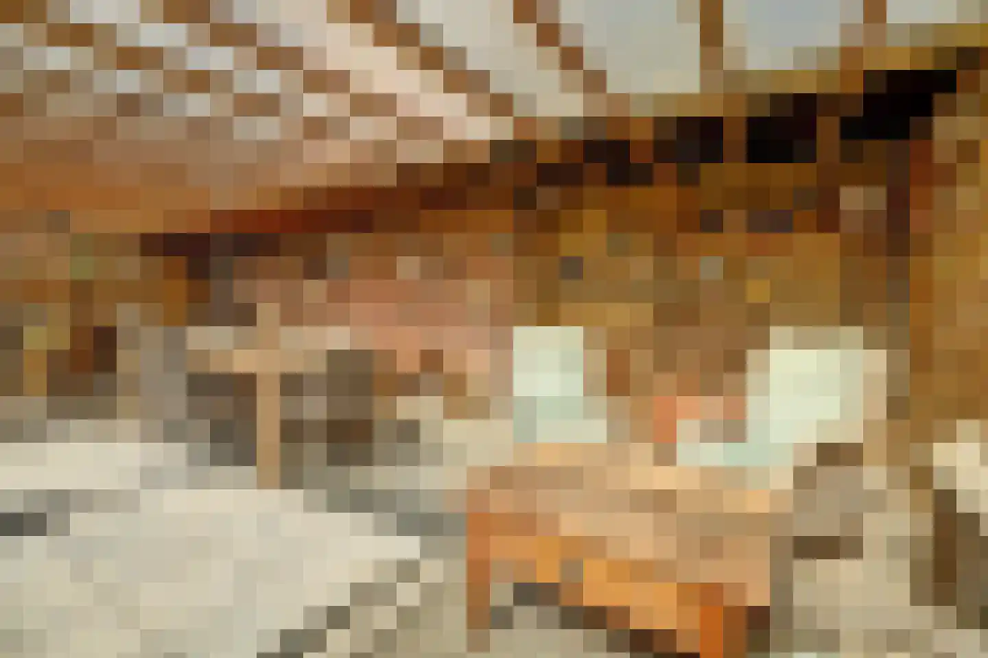 Ring 75 Nieuwdorp thumbnail 36