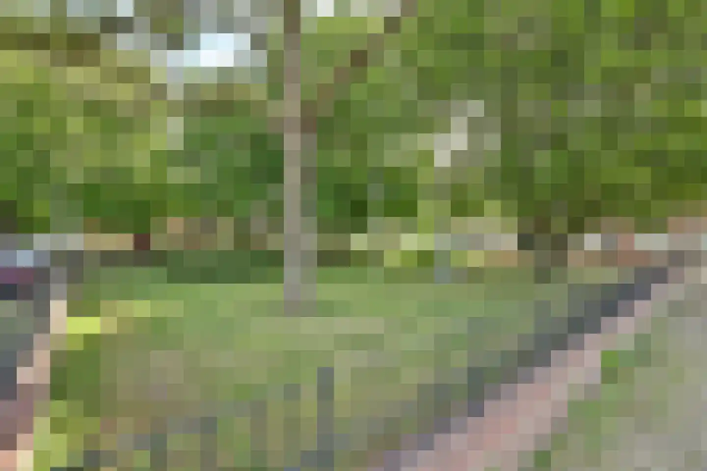 Ring 75 Nieuwdorp thumbnail 42