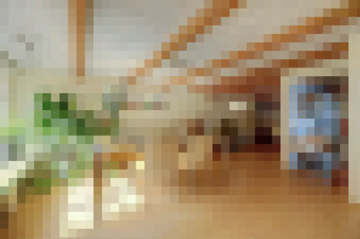 Ring 75 Nieuwdorp thumbnail 7
