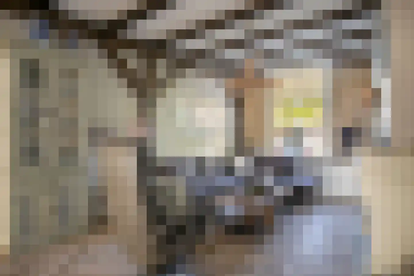 Ring 8 Zuidland thumbnail 10