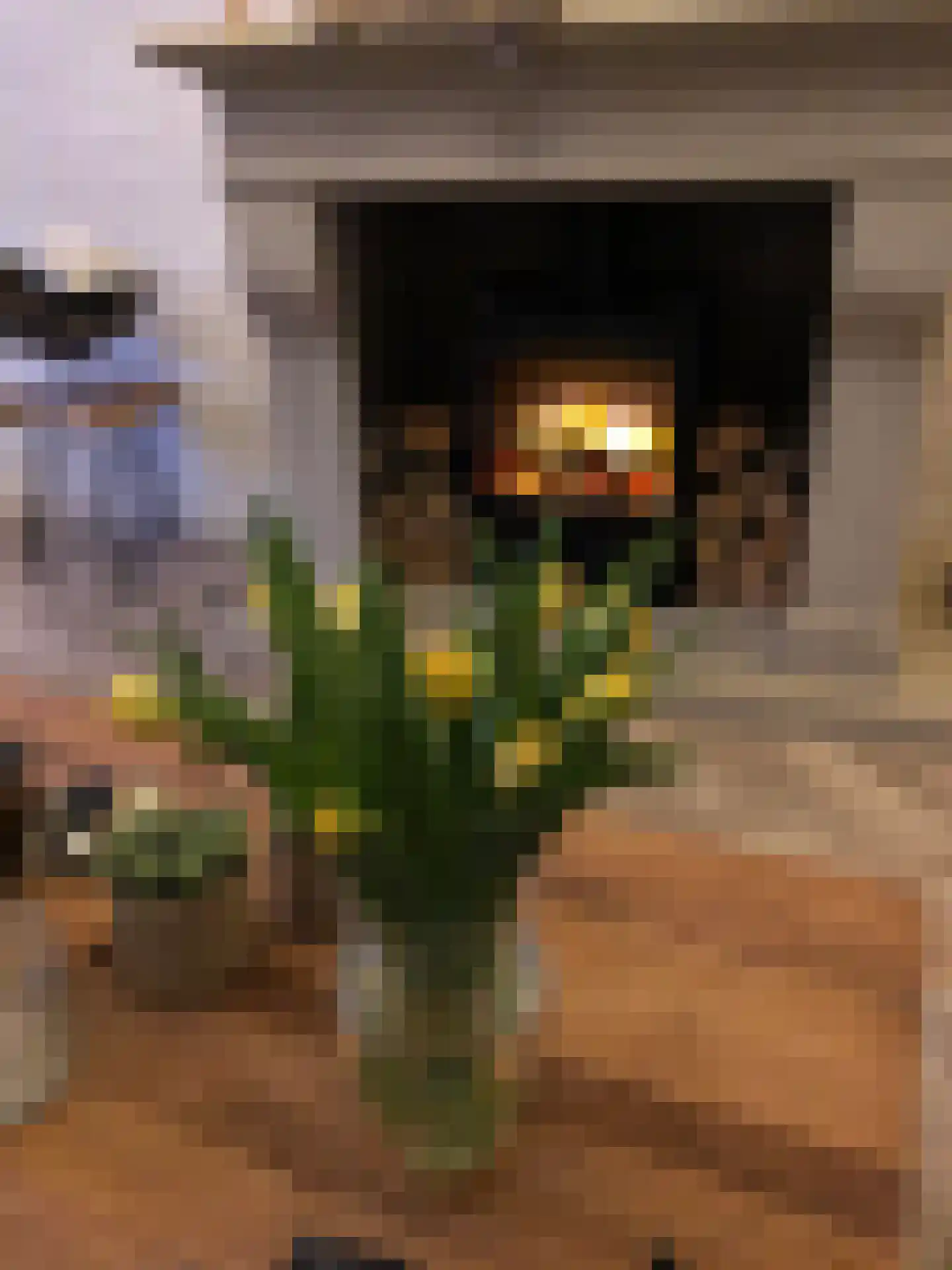 Ring 8 Zuidland thumbnail 50