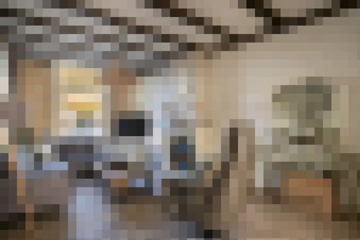 Ring 8 Zuidland thumbnail 9